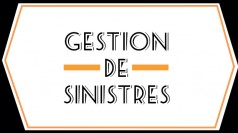 Gestion de sinistres : Furets, santé, canapés et député