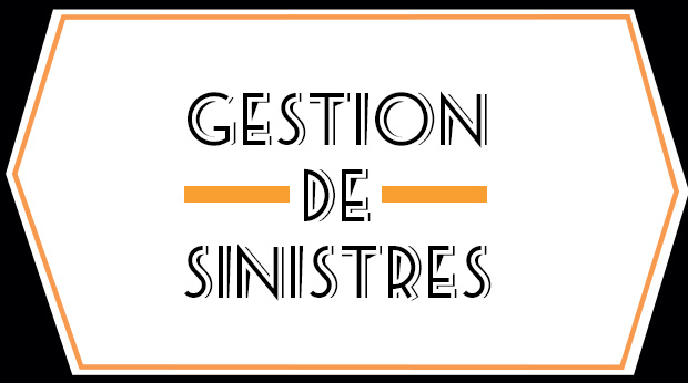 Gestion de sinistres : MFP alerte - COVEA militarise - Cas client