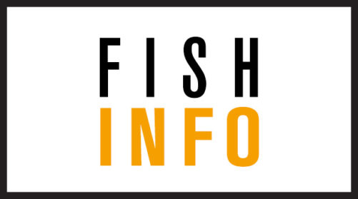 FISH INFO Lettre Assurance / News Assurances Pro : Une nouvelle fédération dans l'assurance ?