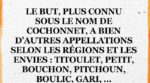 Le but, plus connu sous le nom de cochonnet, a bien d'autres appelations selon les régions et les envies : titoulet, petit, bouchon, pitchoun, boulic, gari...