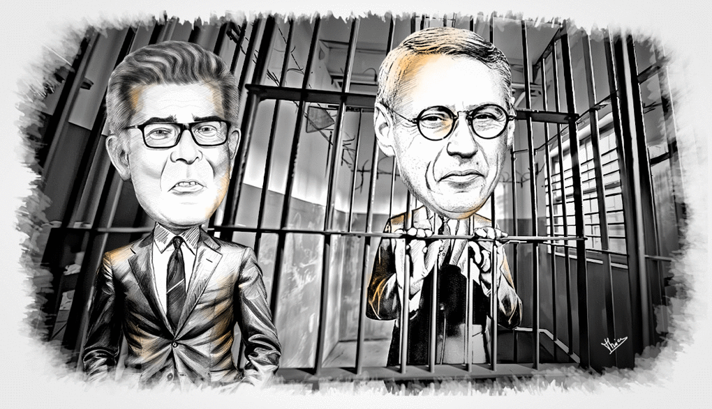 illu_n°418_LLA_Article